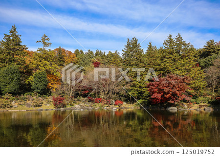 Serene Japanese Garden Landscape with Reflective Pond Dec 4 2024 Serene Japanese Garden Landscape with Reflective Pond Dec 4 2024 125019752