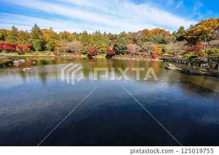 Serene Japanese Garden Landscape with Reflective Pond Dec 4 2024 Serene Japanese Garden Landscape with Reflective Pond Dec 4 2024 125019755