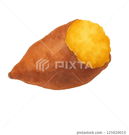 Watercolor illustration of baked sweet potato (cross section) 125020015