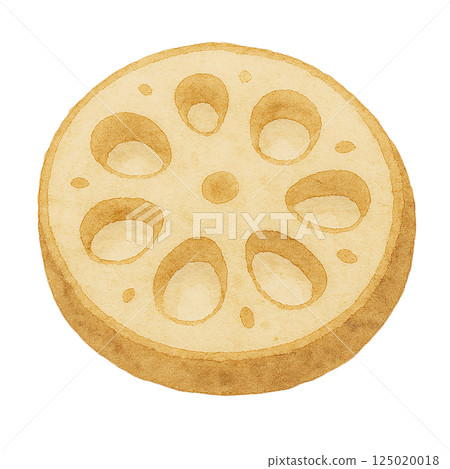 蓮藕片，水彩插圖 125020018