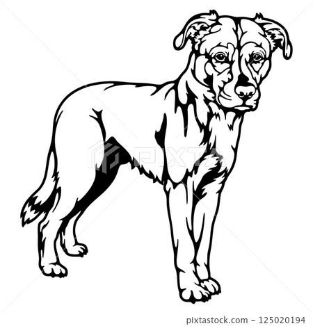 Labrador Mix Dog Breed - Pet Vector Cut file, Dog Silhouette Stencil - Cricut file Labrador Mix Dog Breed - Pet Vector Cut file, Dog Silhouette Stencil - Cricut file 125020194