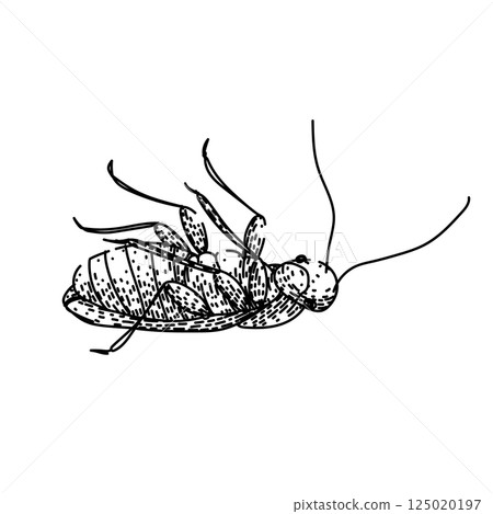 control cockroach sketch hand drawn vector 125020197
