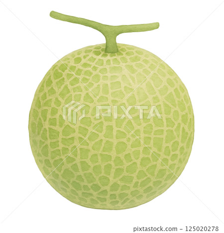 甜瓜水彩插圖（整體、透明背景） 125020278