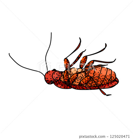 control cockroach sketch hand drawn vector control cockroach sketch hand drawn vector 125020471