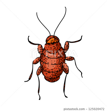 pest cockroach sketch hand drawn vector 125020472