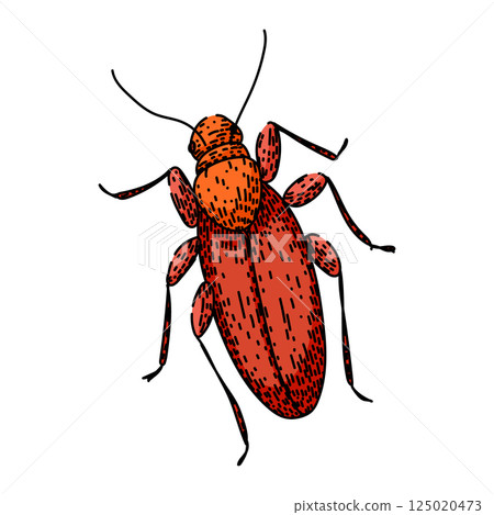 extermination cockroach sketch hand drawn vector extermination cockroach sketch hand drawn vector 125020473