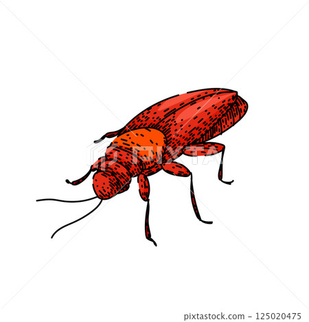 insect cockroach sketch hand drawn vector insect cockroach sketch hand drawn vector 125020475