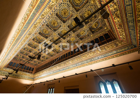 Grand Hall of Catholic Monarchs in Aljaferia Palace Grand Hall of Catholic Monarchs in Aljaferia Palace 125020700