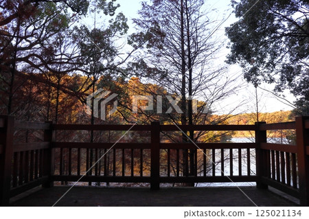 公園池塘木甲板 公園池塘木甲板 125021134