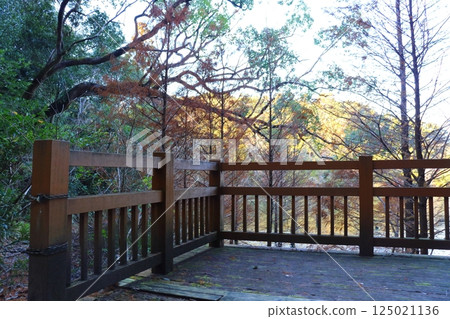 公園池塘木甲板 公園池塘木甲板 125021136