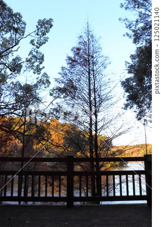Park pond wooden deck Park pond wooden deck 125021140