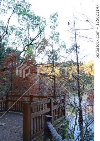 Park pond wooden deck Park pond wooden deck 125021147