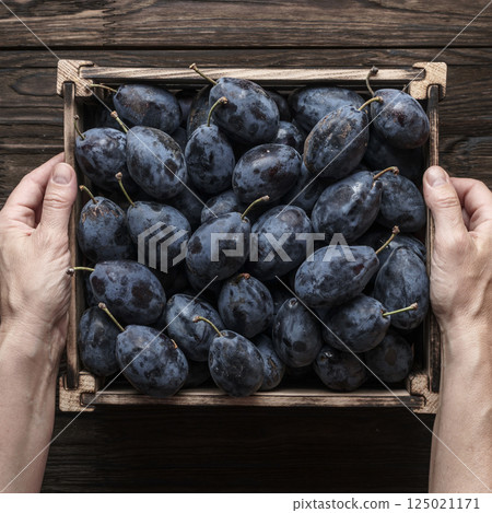 Female farmer holding fresh plums in box Female farmer holding fresh plums in box 125021171