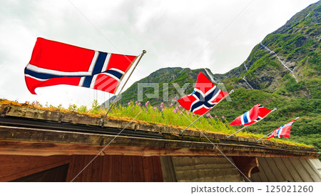 norwegian flags on green mountains background norwegian flags on green mountains background 125021260