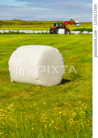 Bale of hay wrapped in plastic foil, Norway Bale of hay wrapped in plastic foil, Norway 125021309