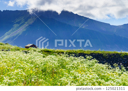 Landscape at Hovsund village Lofoten Norway Landscape at Hovsund village Lofoten Norway 125021311