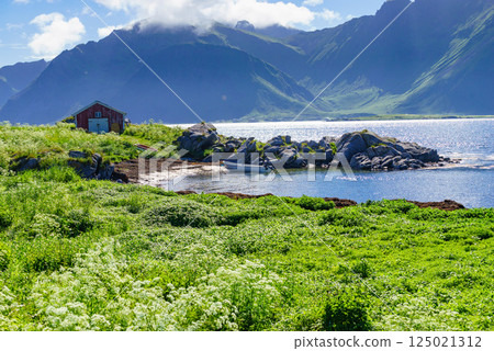 Landscape at Hovsund village Lofoten Norway Landscape at Hovsund village Lofoten Norway 125021312