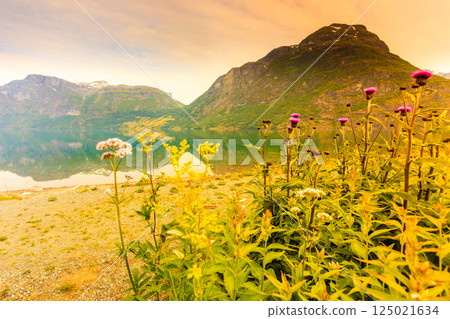 Mountains and fjord in Norway, Mountains and fjord in Norway, 125021634