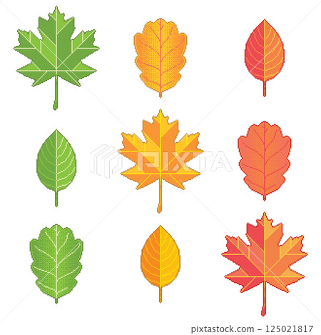 Pixel art leaves collection. Maple, oak and birch foliage seasonal design for video game icons. Green, yellow and red leaf vector set. Pixel art leaves collection. Maple, oak and birch foliage seasonal design for video game icons. Green, yellow and red leaf vector set. 125021817