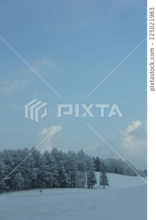 Hokkaido snow scene 125021963