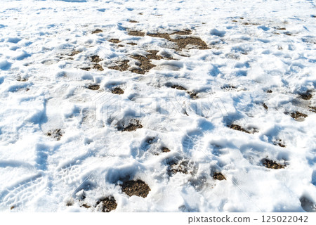 Melting snow with human shoes footprints Melting snow with human shoes footprints 125022042