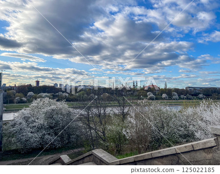 Scenic view of blooming spring trees along the river with historic architecture and modern city skyline under dramatic cloudy sky 125022185