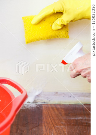 Person washing mold out of wall Person washing mold out of wall 125022356