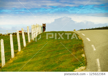 Countryside view field with rustic fence 125022364