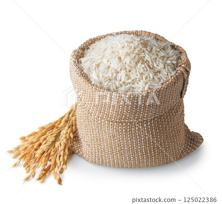 long rice in burlap sack with ears isolated on white background 125022386