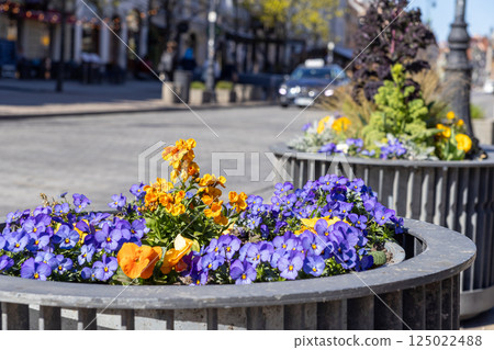Blooming flowers in round metal planters placed in city center along sunny urban street with blurred background Blooming flowers in round metal planters placed in city center along sunny urban street with blurred background 125022488