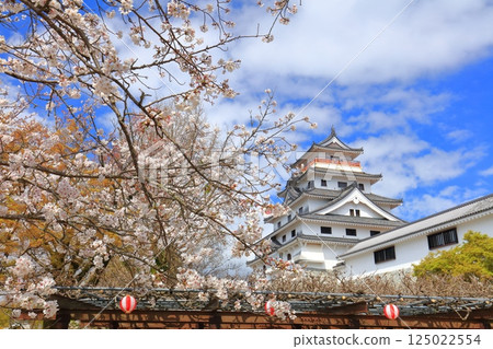 【佐賀縣】晴朗天氣下的唐津城樓與盛開的櫻花 【佐賀縣】晴朗天氣下的唐津城樓與盛開的櫻花 125022554