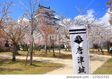 【佐賀縣】晴朗天氣下的唐津城樓與盛開的櫻花 125022583