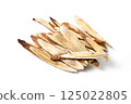 Astragalus on white background, medium astragalus wood 125022805