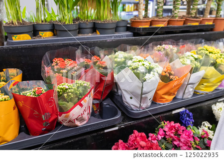 Colorful potted flowers wrapped in plastic sleeves on display in supermarket floral section with vibrant plants and blooming blossoms 125022935