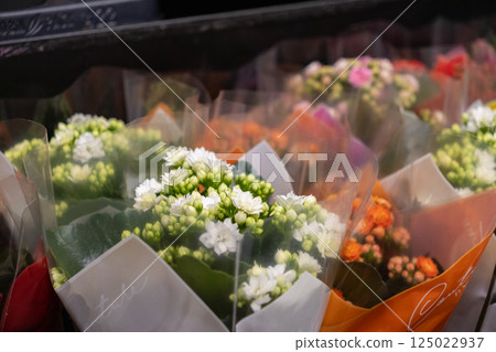 White kalanchoe flowers in decorative plastic wrap on supermarket shelf with blooming buds and colorful floral arrangements in background of store display 125022937