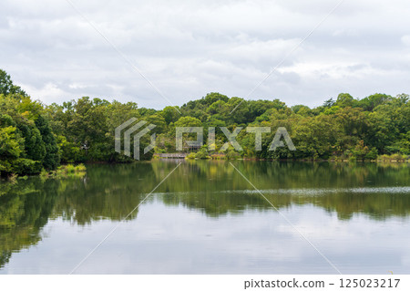 Green forest reflected on the calm lake surface 125023217