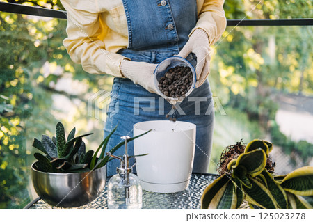 Close-up of a woman adding soil to a potted snake plant on a balcony garden workspace. Eco-conscious living, grow at home, sustainable habits, urban gardening 125023278