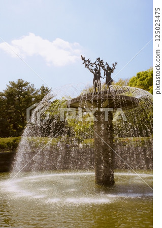 A park with a fountain 125023475