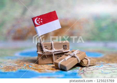 Flag of Singapore near the parcels on the world map. World trade. Exports and imports of goods. Economy of the country Flag of Singapore near the parcels on the world map. World trade. Exports and imports of goods. Economy of the country 125023769