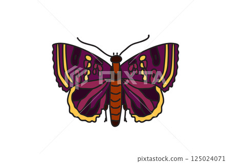 Hand drawn colorful butterfly isolated on white background. Botanical bright butterfly vector illustration.Graphic design element for Birthday Greeting Card Print Fashion Icon Symbol Poster Invitation Hand drawn colorful butterfly isolated on white background. Botanical bright butterfly vector illustration.Graphic design element for Birthday Greeting Card Print Fashion Icon Symbol Poster Invitation 125024071