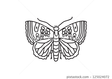 Line art botanical butterfly, drawing black outline isolated on white background. Hand drawn butterfly vector illustration. Graphic design doodle element for Birthday Coloring Card Print Icon Symbol Line art botanical butterfly, drawing black outline isolated on white background. Hand drawn butterfly vector illustration. Graphic design doodle element for Birthday Coloring Card Print Icon Symbol 125024072