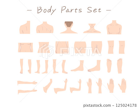 女性身體部位插圖集 125024178
