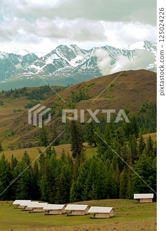 Camping in the Altai Mountains with mountains in the background 125024226