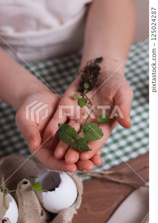 Young child hands holding seedlings and soil for planting on a table background, representing spring garden works, Earth Day concepts and the World environment day. 125024287