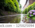 繡球花和蝸牛穿過雨天的道路 125025094