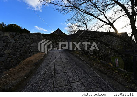 A landscape with stone walls 125025111