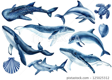 Whales, dolphins, sharks, sea turtle and shells marine wildlife illustration isolated. Clipart watercolor ocean animals  125025312