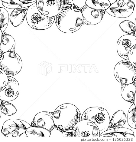 Cranberry lingonberry with green leaves, water dew drops, vector hand drawn in ink, ripe forest berry bearberry teaberry wintergreen. Isolated square corner frame. Dessert cafe menu, farmers market 125025328