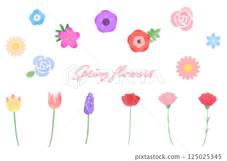 Watercolor floral illustration set: Spring plants 125025345