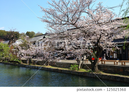 [岡山縣] 春天櫻花盛開的倉敷美觀地區 125025368